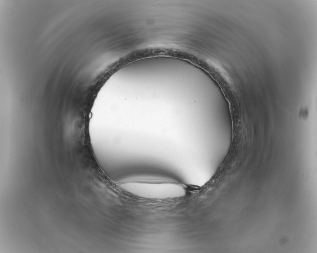 X0000090470872200708102131