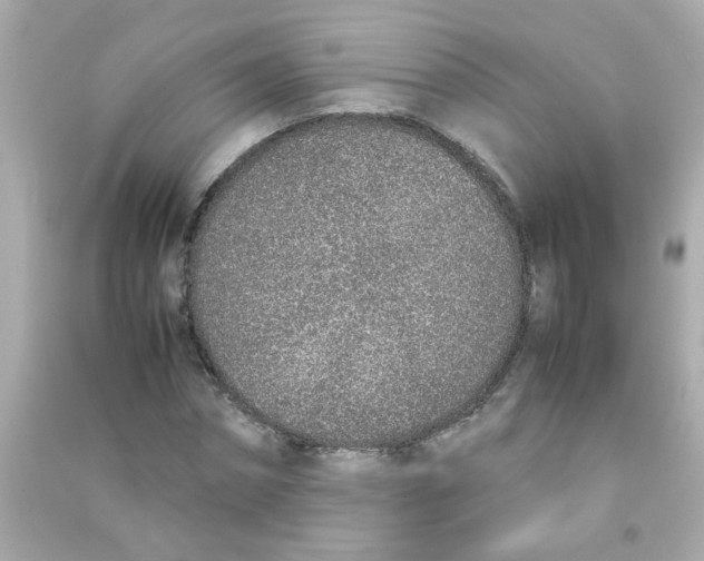 X0000090470874200708102131