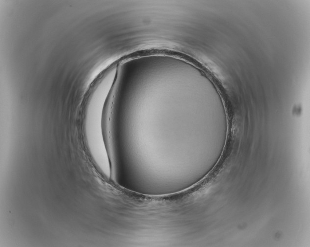 X0000090470877200708102131