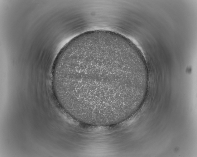 X0000090470879200708102131