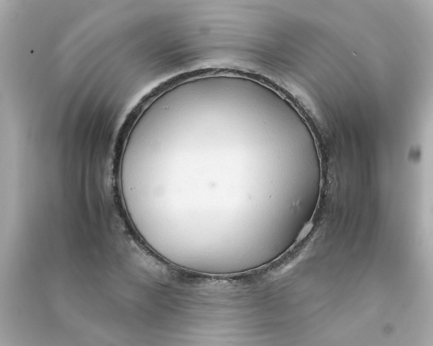 X0000090470880200708102131