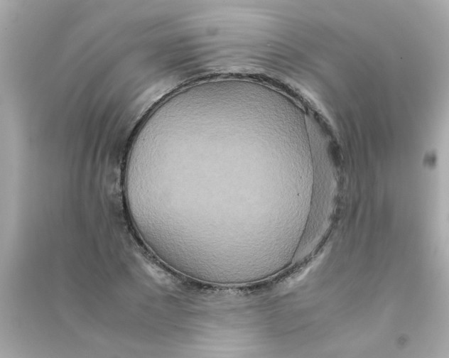 X0000090470881200708102131