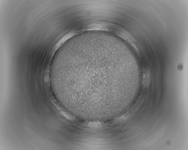 X0000090470882200708102131