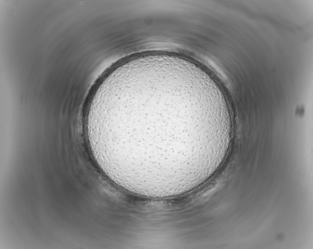 X0000090470883200708102131