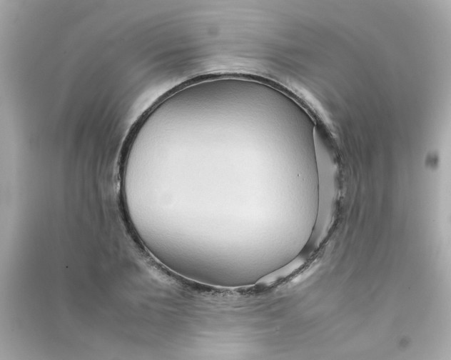 X0000090470885200708102131