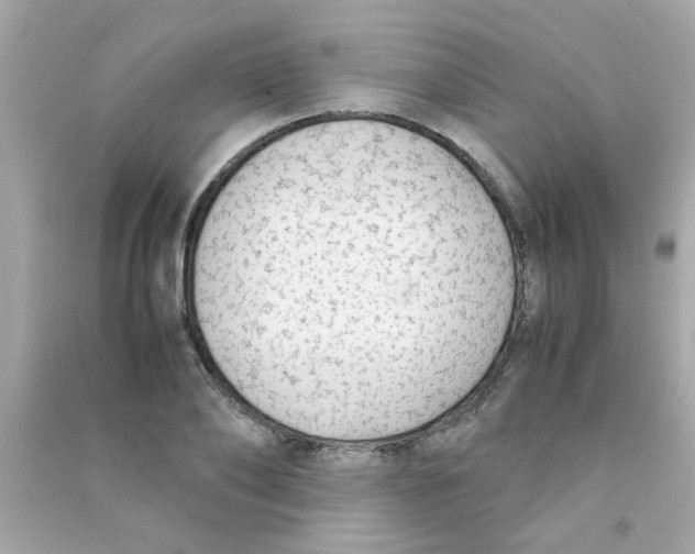 X0000090470886200708102131