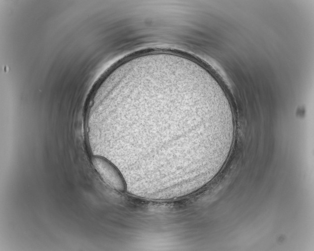 X0000090470887200708102131