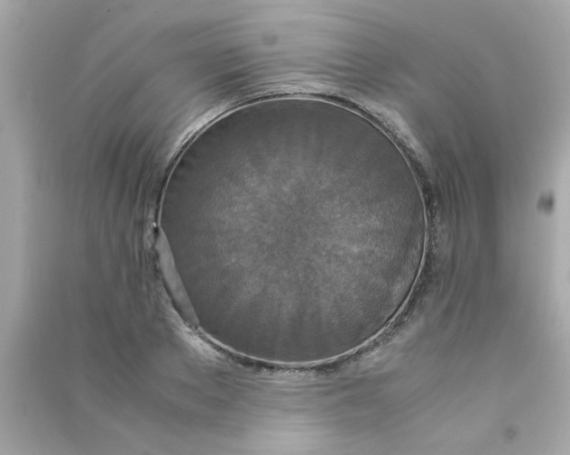 X0000090470889200708102131