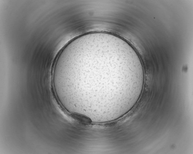 X0000090470890200708102131