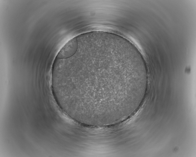 X0000090470891200708102131