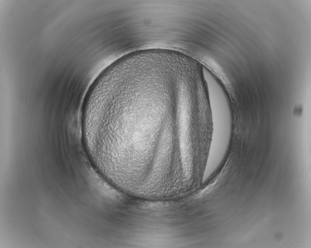 X0000090470892200708102131