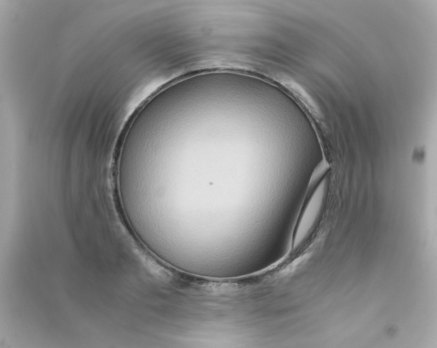 X0000090470893200708102131