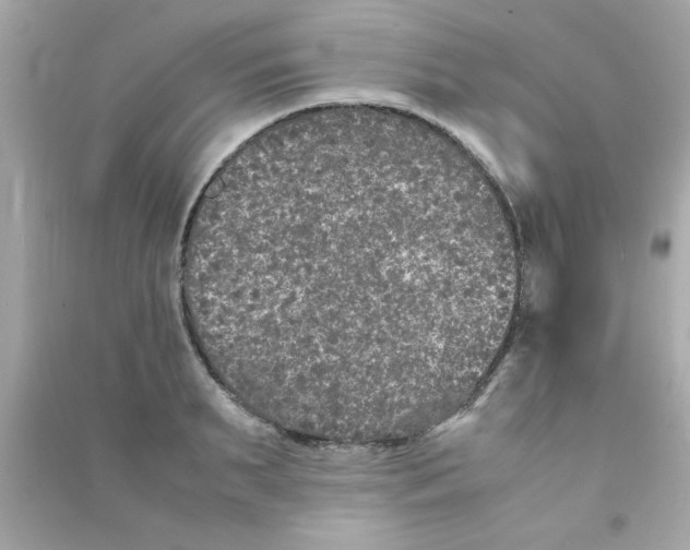 X0000090470895200708102131