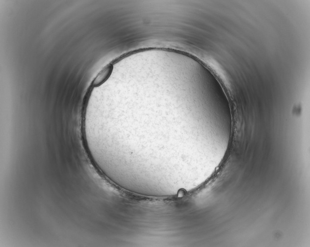 X0000090470896200708102131