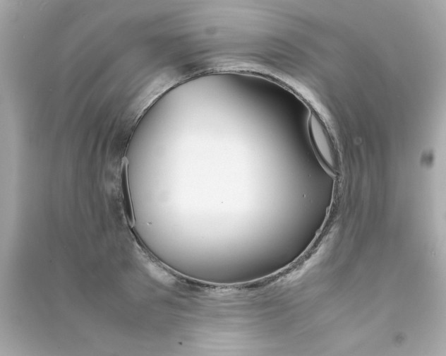 X0000090470897200708102131