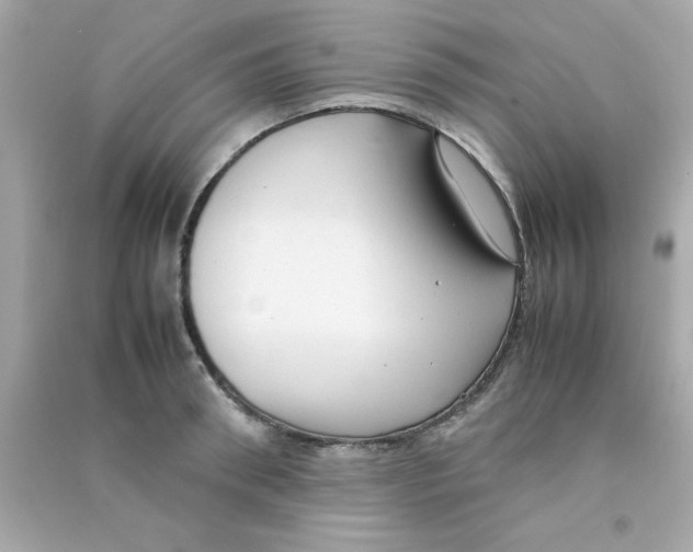 X0000090470898200708102131