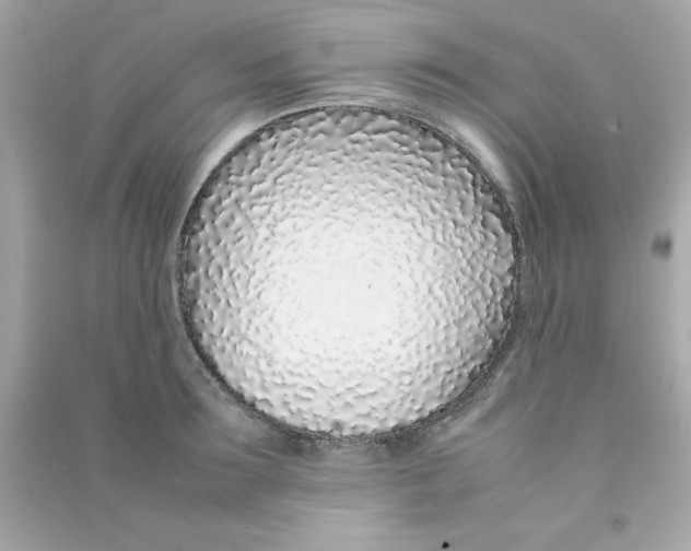 X0000090470899200708102131