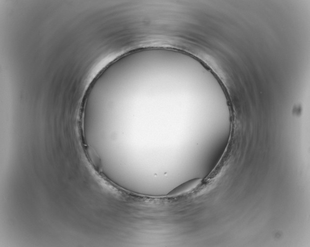 X0000090470901200708102131