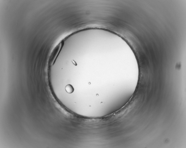 X0000090470902200708102131