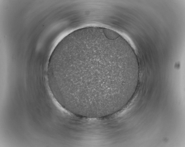 X0000090470903200708102131