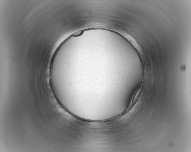 X0000090470904200708102131