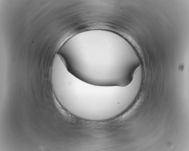 X0000090470905200708102131