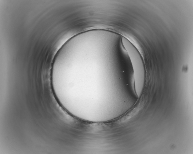 X0000090470906200708102131