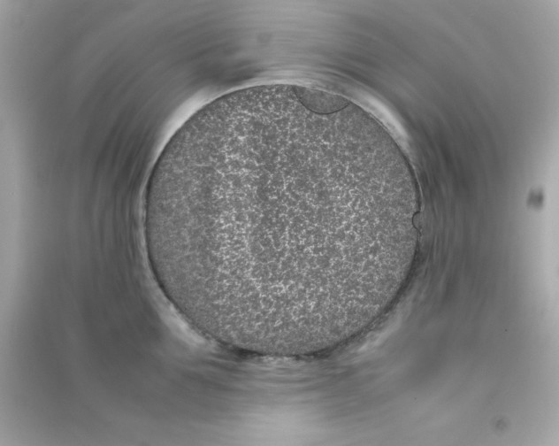 X0000090470907200708102131