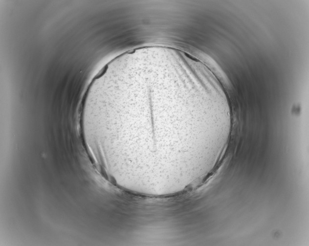 X0000090470908200708102131