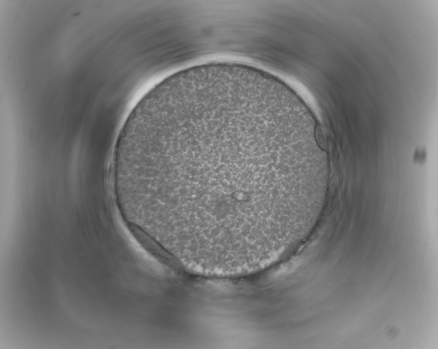 X0000090470911200708102131