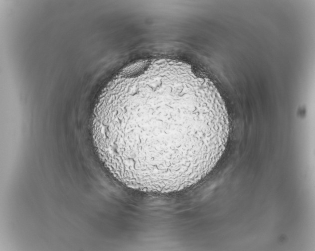 X0000090470913200708102130