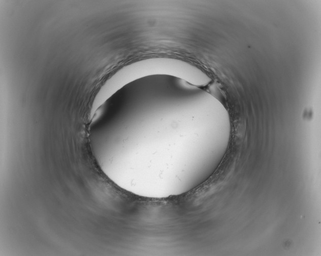 X0000090470916200708102130