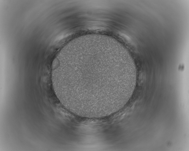 X0000090470917200708102130