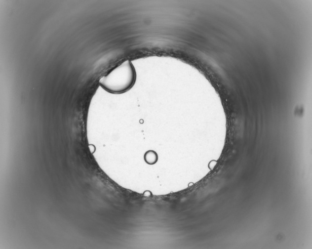 X0000090470918200708102130