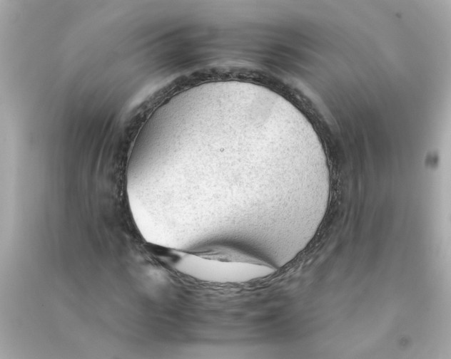 X0000090470919200708102130