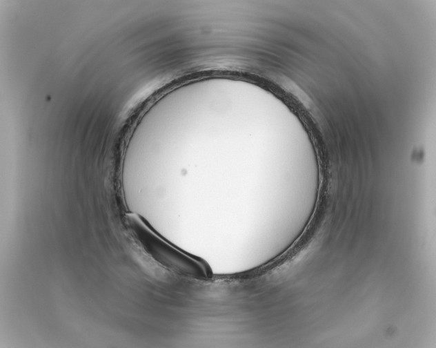 X0000090470922200708102130