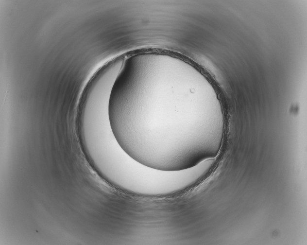 X0000090470924200708102130