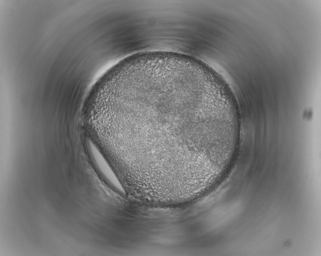 X0000090470925200708102130