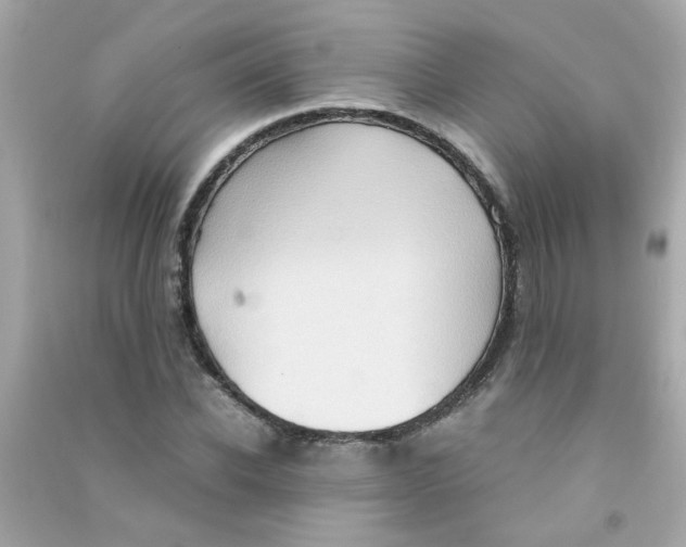 X0000090470926200708102130