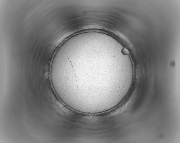 X0000090470929200708102130