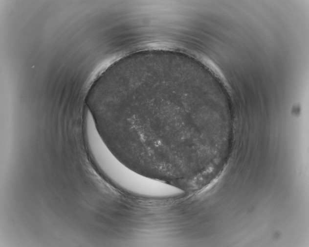 X0000090470930200708102130