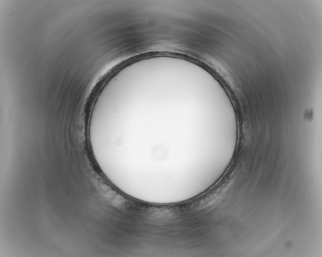 X0000090470931200708102130