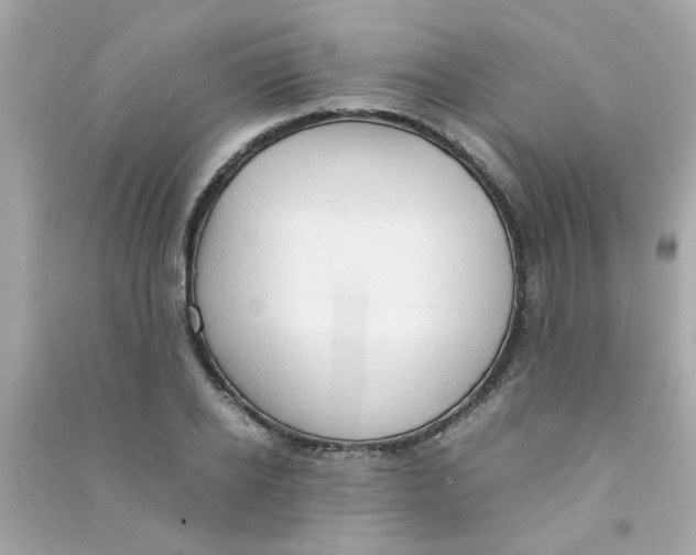 X0000090470934200708102130