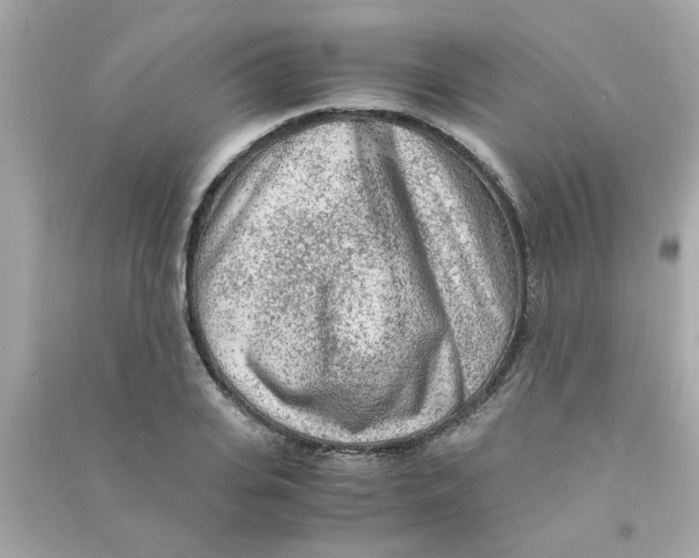 X0000090470935200708102130