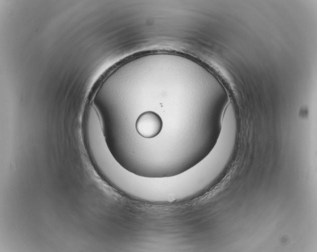 X0000090470936200708102130