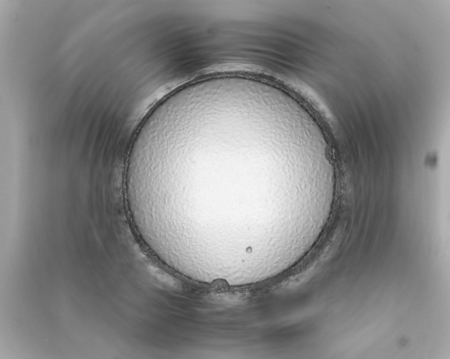 X0000090470937200708102130