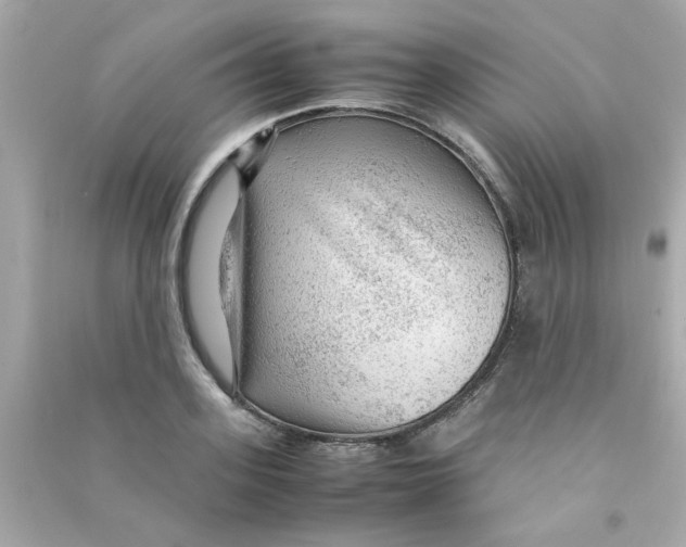 X0000090470939200708102130