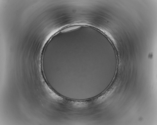 X0000090470941200708102130