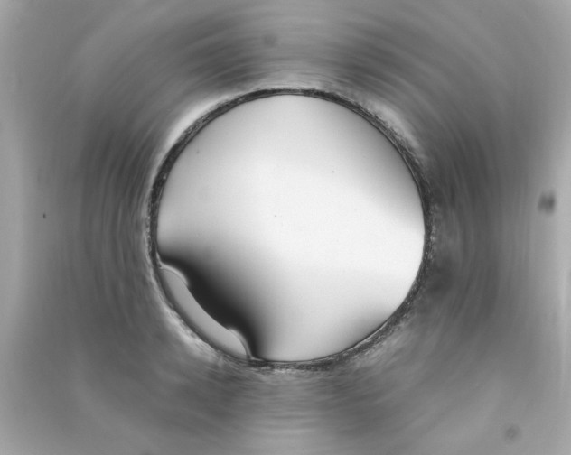 X0000090470942200708102130