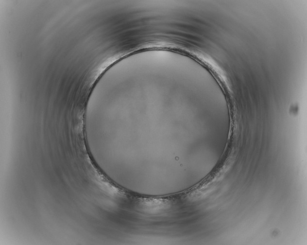 X0000090470945200708102130